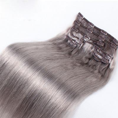 10 - 32 Inch Clip In Human Hair Extensions Grey Straight