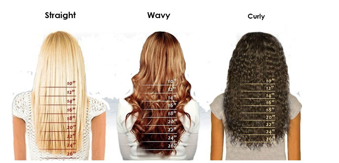 Hairplusbase Hair Length Chart